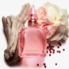PERFUMY LOVE FREQUENCY 10 ML
