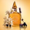 PERFUMY STAR CONFIDENCE 100 ML
